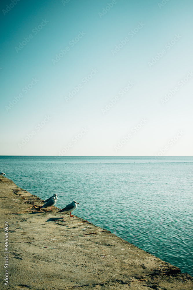 waves on the beach