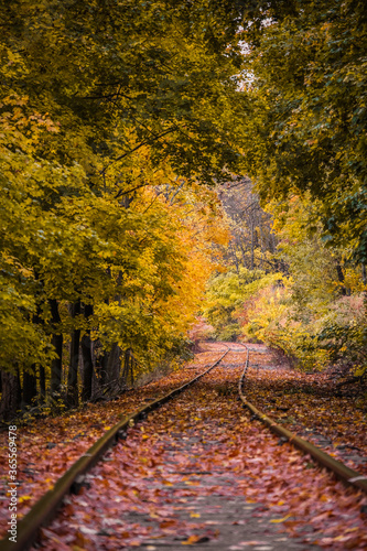 Obraz na plátně Railroad tunnel in hallowell maine at fall 2