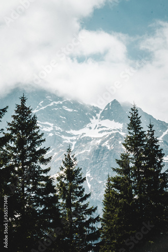 snow covered mountains