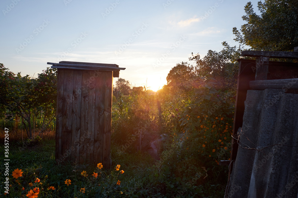 Fototapeta premium Toilette