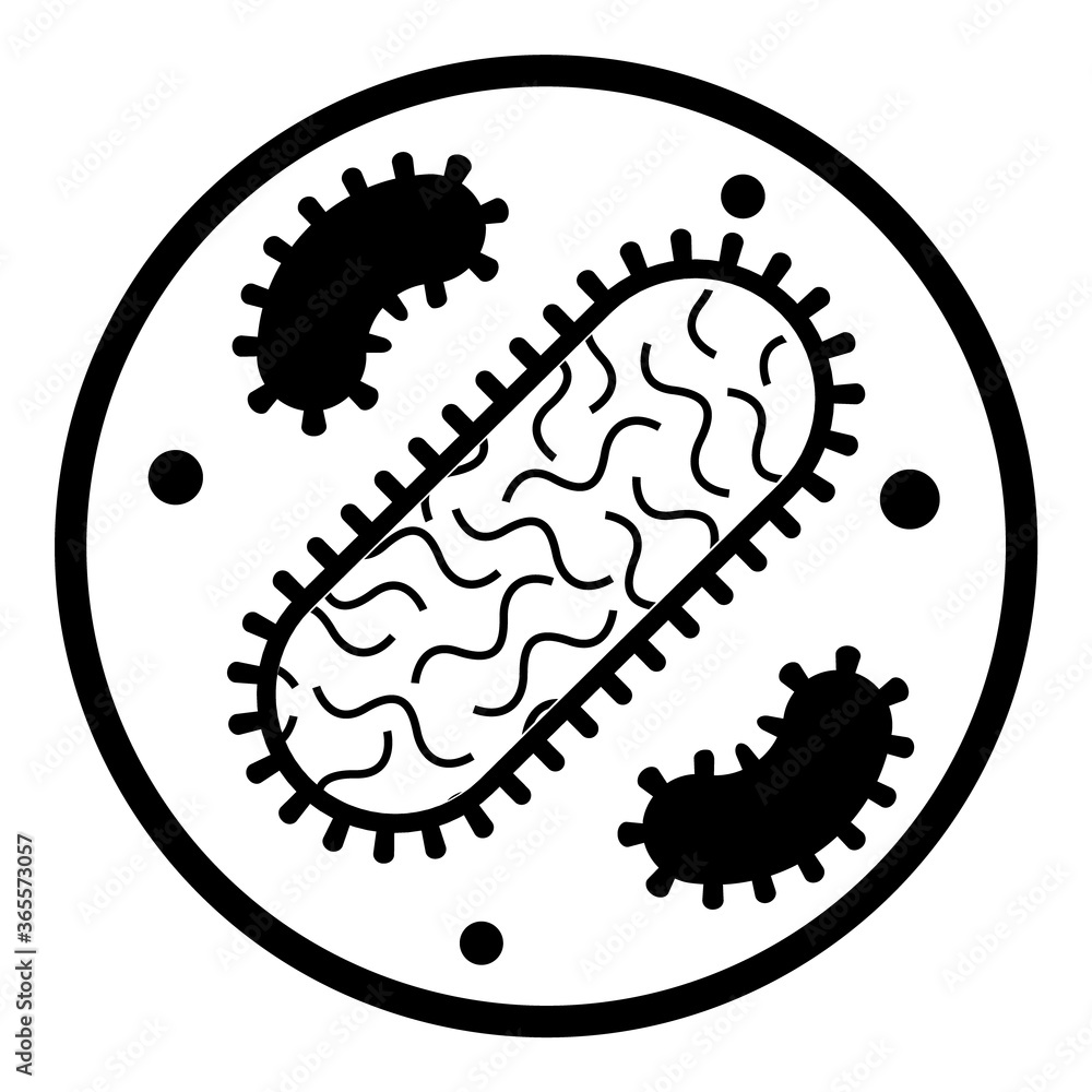 Fototapeta premium Bacterium
