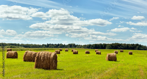 Landscape photo of rolled hay on a field