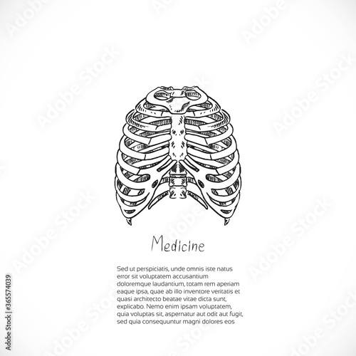 Medical doodle background with thoracic skeleton for banner or flyer