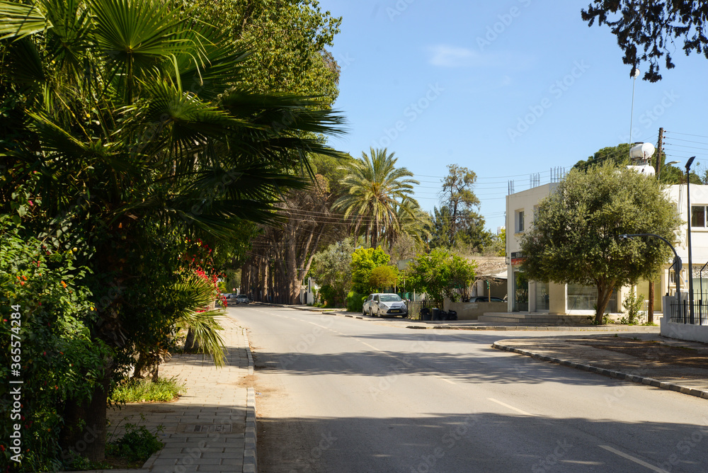 Palm trees in the city of cordoba North Cyprus. April 01 2018