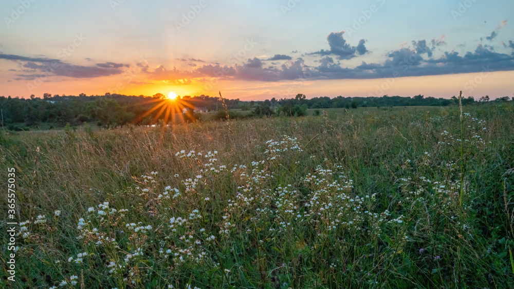 Sunset over prairie field in July