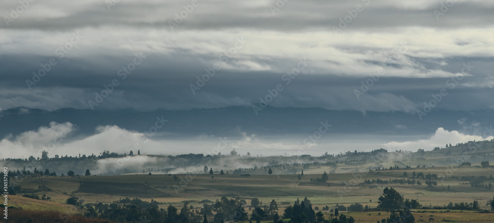 Paisaje del campo con neblina al amanecer. Vista panorámica del campo con árboles y niebla en las montañas.