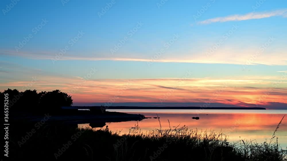 Long grass with vibrant ocean sunset background