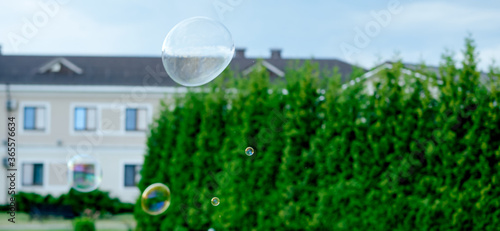 soap bubble flies through the air against the background of the paddock house