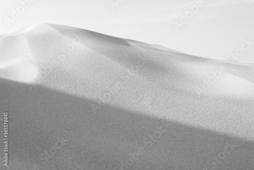 Detail of dune