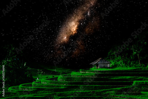 green rice field at the ball with a small gazebo and a yellow starry sky