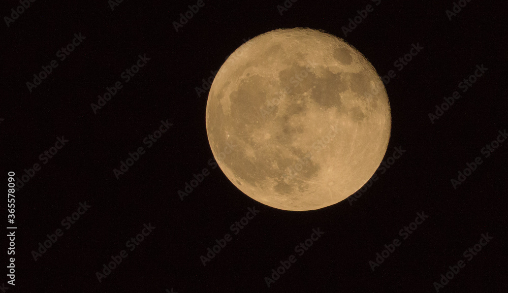 Obraz premium February full moon