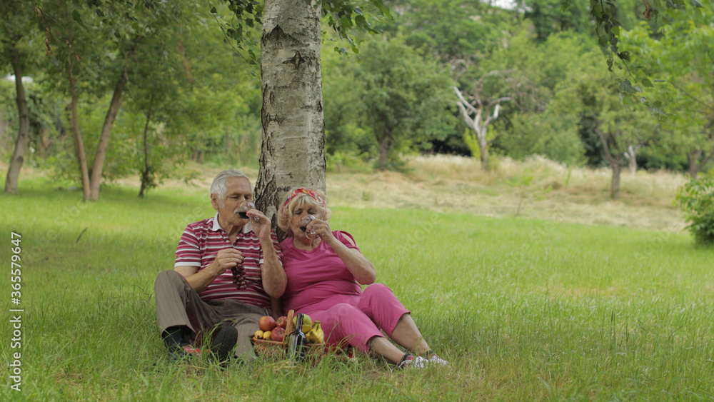 Family weekend picnic in park. Senior old couple sit near tree, eating fruits, drinking wine Family weekend picnic in park. Senior old couple sit near tree, eating fruits, drinking wine