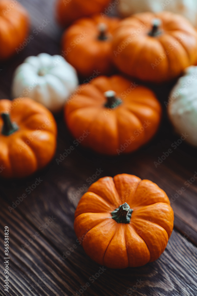 Diverse assortment of pumpkins on a wooden background. Autumn harvest. Diverse assortment of pumpkins on a wooden background. Autumn harvest.