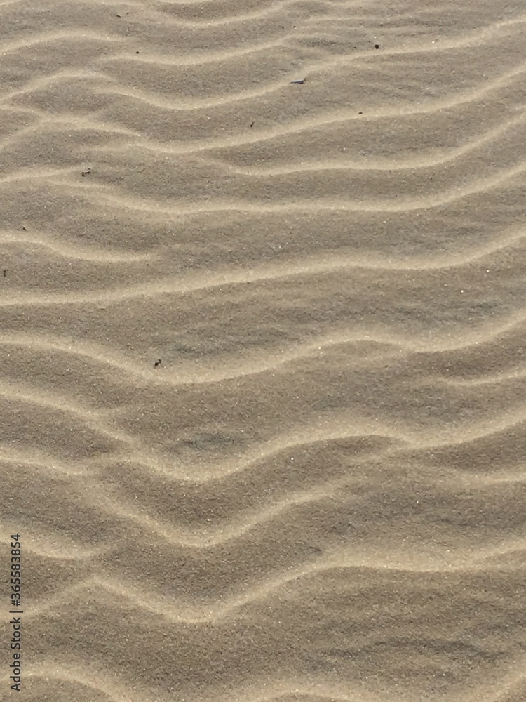 sand ripples in the sand sand ripples in the sand