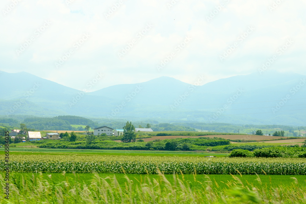 美しい北海道の風景