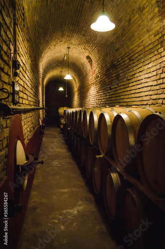 Bodega de vinos en Mendoza photo