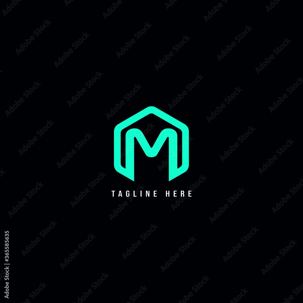 Fototapeta premium letter M logo concept, hexagon, M logo, abstract M logo