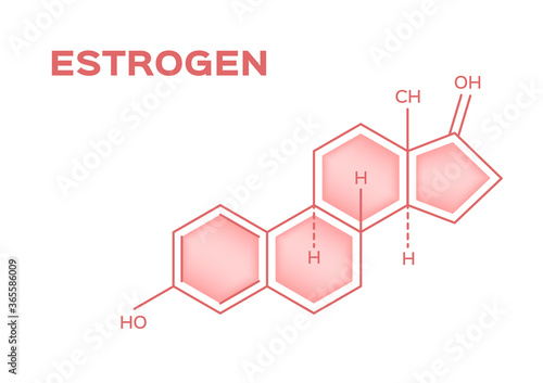 sex hormones , estrogen vector