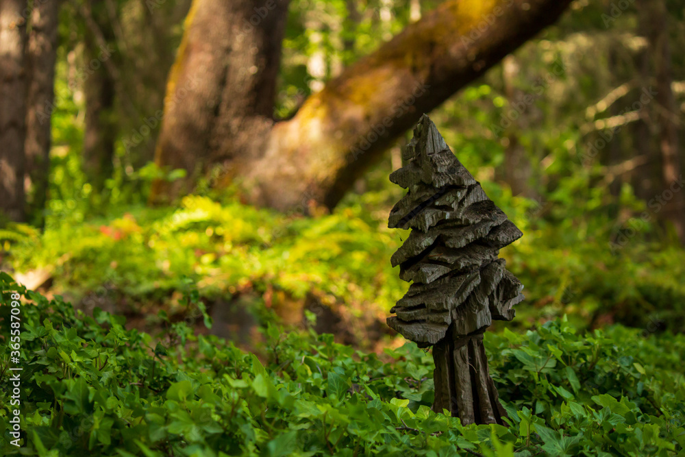 Fototapeta premium wood carving in a pine forest