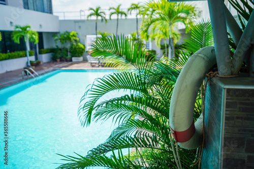 pool in tropical resort