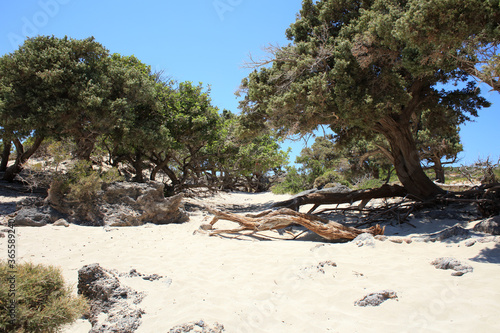 Kedrodasos beach private paradise blue lagoon free camping area rocky coast with crystal waters and corals covid-19 season prints photo