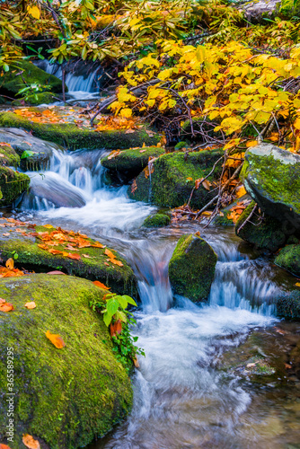 Fototapeta Naklejka Na Ścianę i Meble -  waterfall in autumn