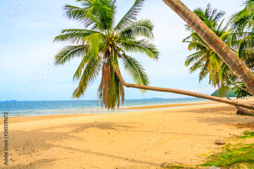 Tropical beach scene with palm trees © Kevin Hellon