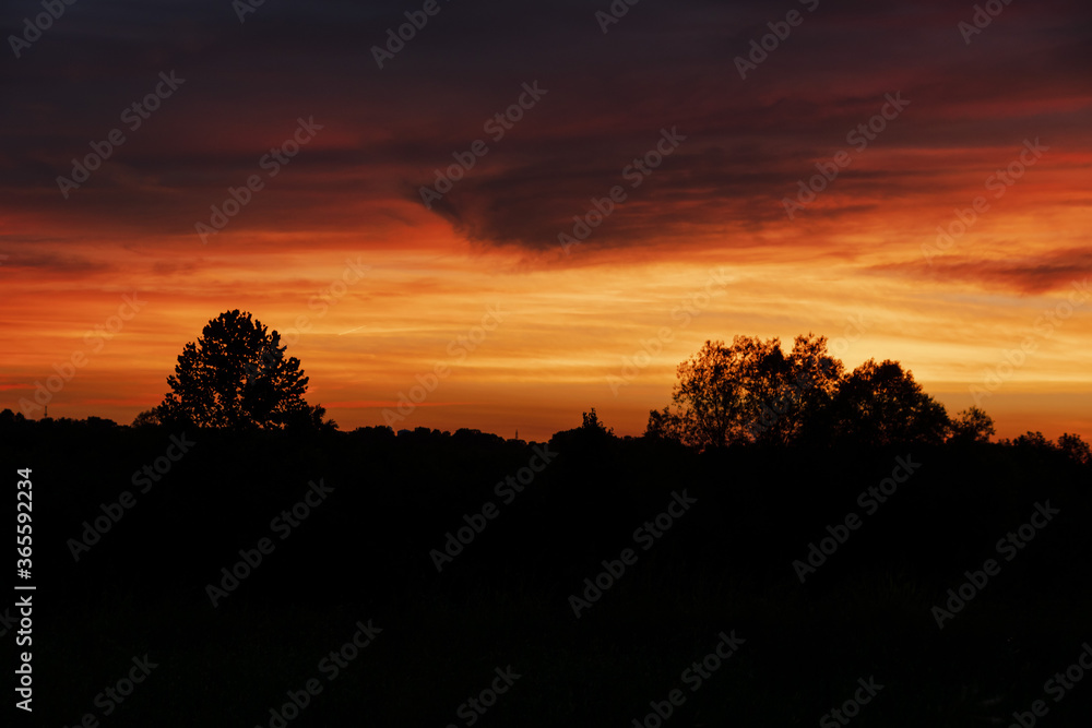 Fototapeta premium sunset over the field