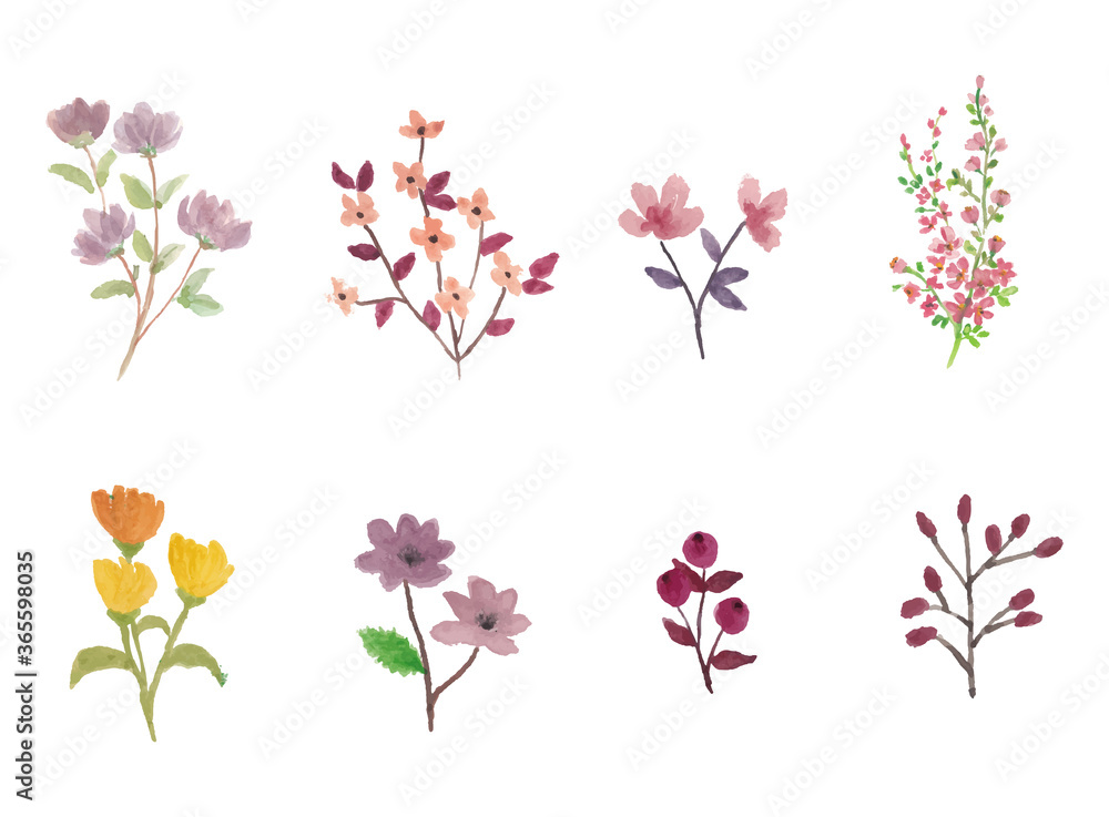 Sets of hand drawn water color flowers