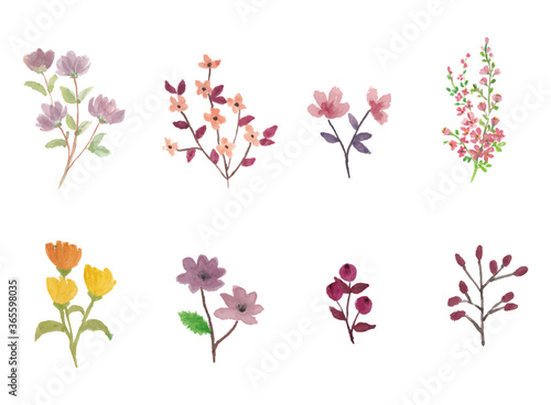 Sets of hand drawn water color flowers