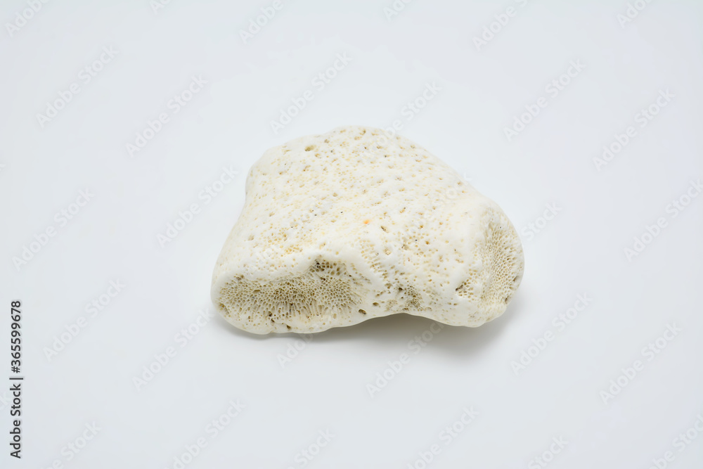 White beach coral stone White beach coral stone