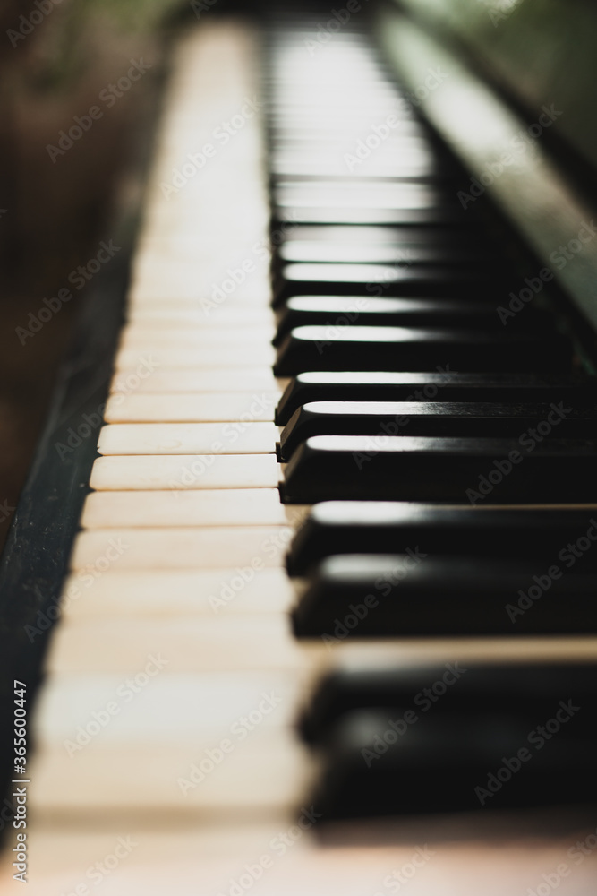 Background image of an old piano. Classic keys, music
Background image of an old piano. Classic keys, music