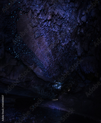 glowworm cave in new zealand photo