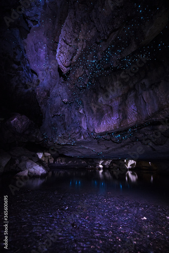 glowworm cave, new zealand