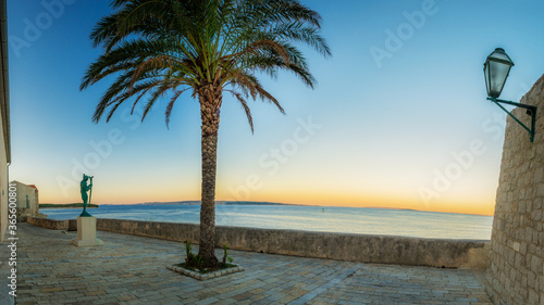 Fototapeta Naklejka Na Ścianę i Meble -  square with palm tree in the old town of Rab Croatia