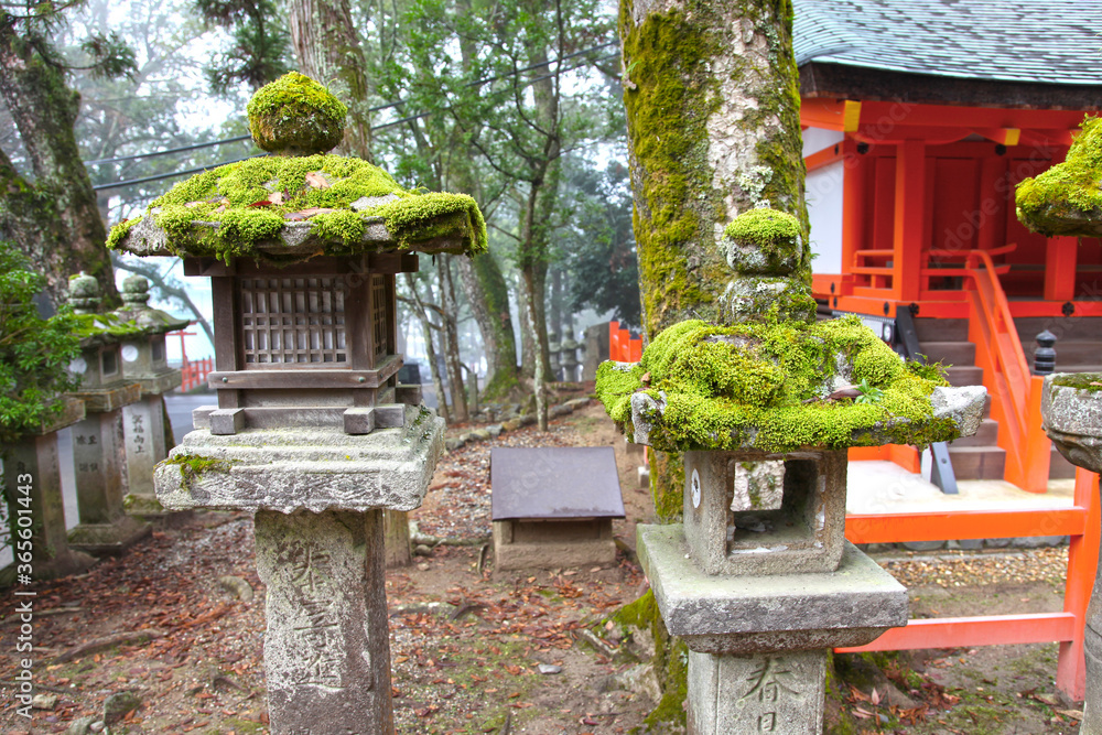 The Kasuga-Taisha Shrine or Kasuga Grand Shrine in Nara, Kansai, Japan. The Kasuga-Taisha Shrine or Kasuga Grand Shrine in Nara, Kansai, Japan.