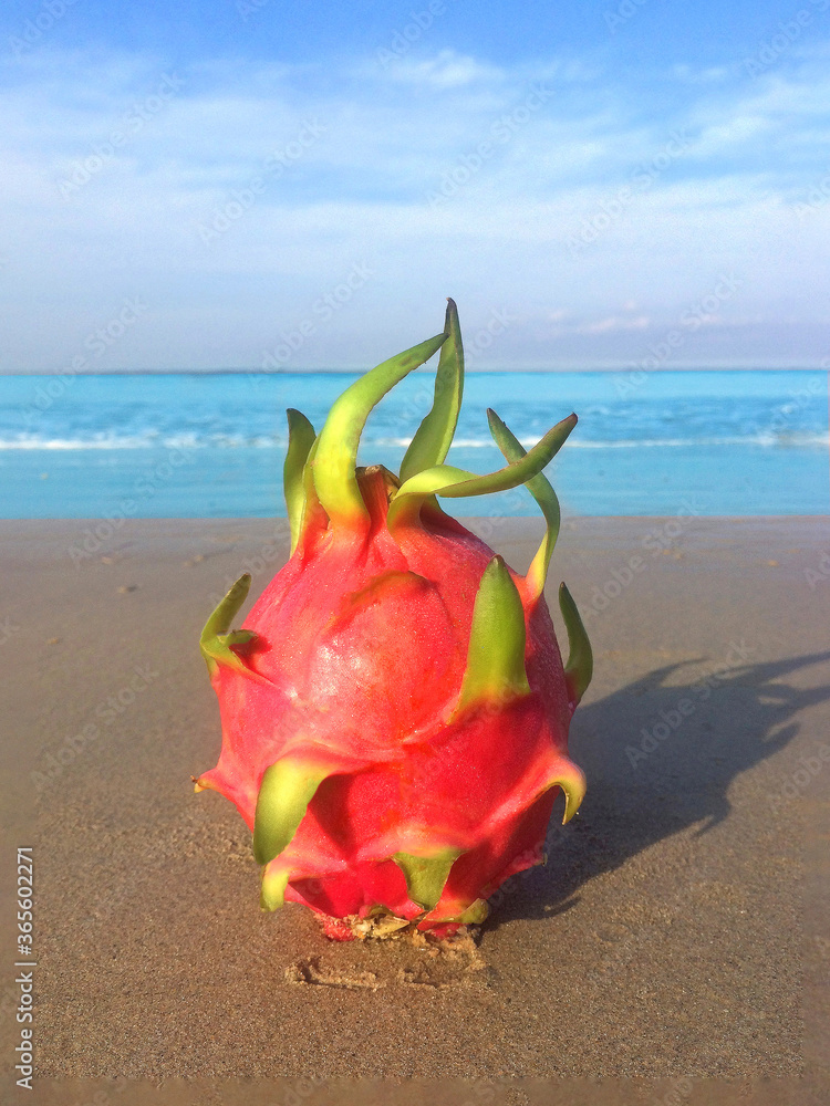 Photo Dragon fruit on the background of the sea on the beach in Thailand Photo Dragon fruit on the background of the sea on the beach in Thailand
