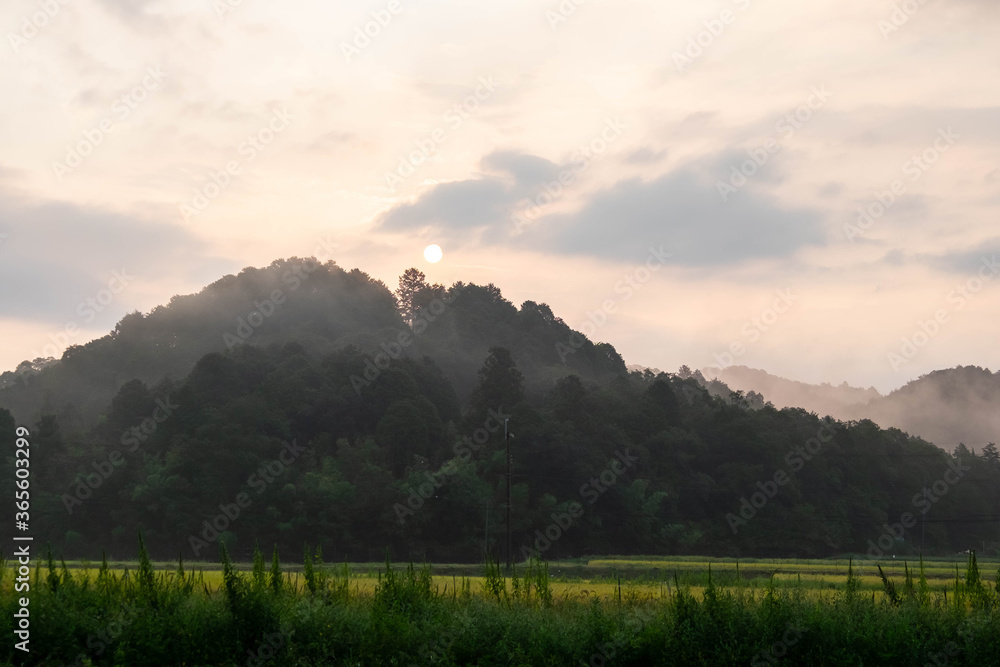 朝靄と日の出と山と田園