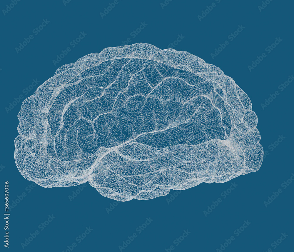human brain on blue background human brain on blue background