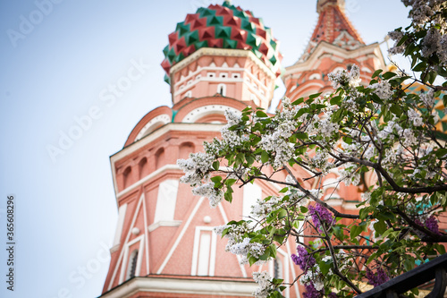 Photography Romantic Moscow in the spring