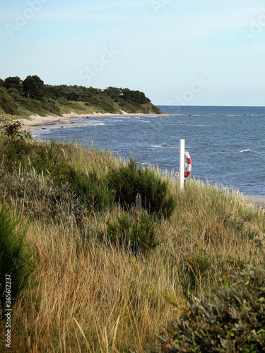 Coastline with lifebuoy  Bornholm  Denmark  Scandinavia