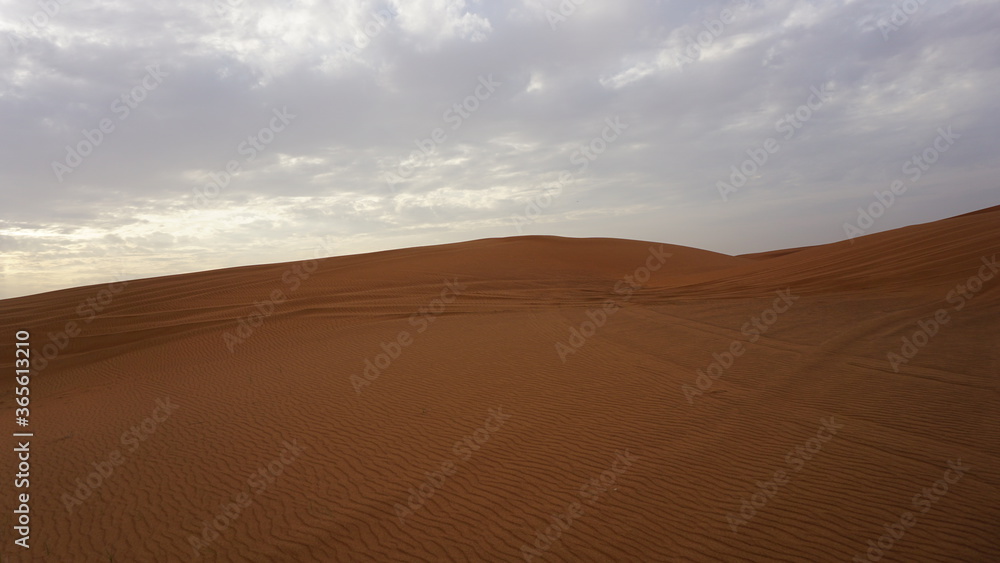 Red Sand at the arabian desert in Dubai.