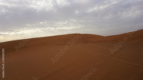 Red Sand at the arabian desert in Dubai.