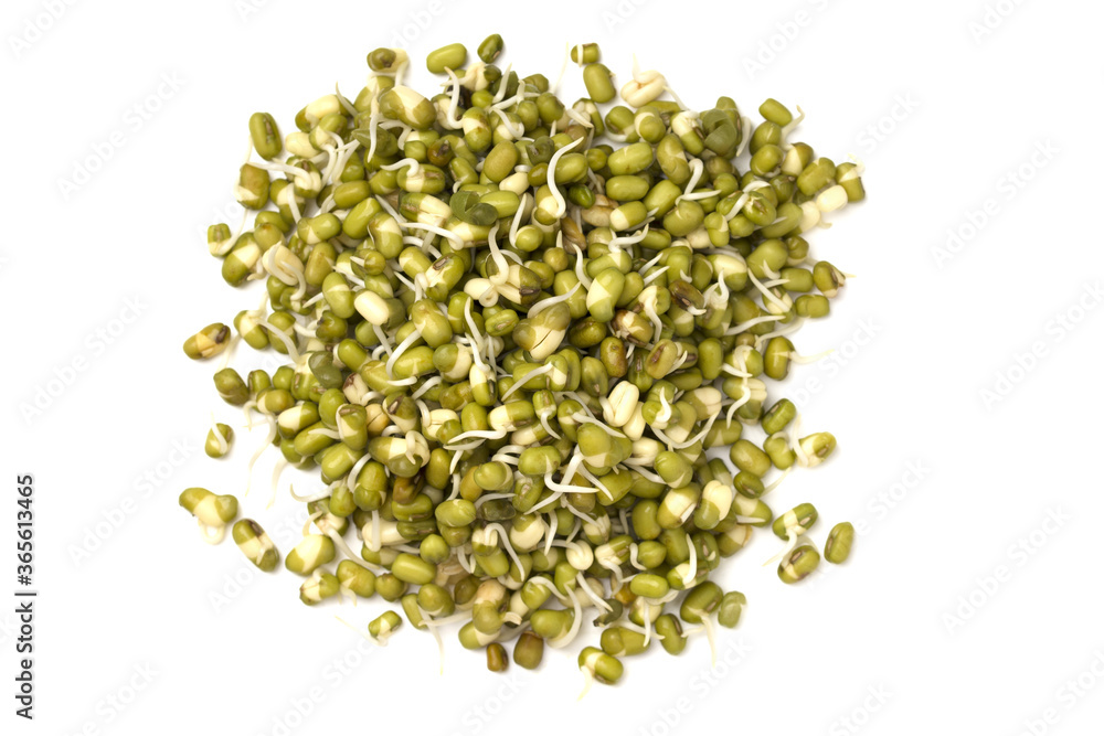 Mung beans sprouts isolated on white background Mung beans sprouts isolated on white background