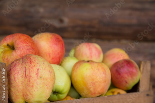 Ripe apples on a wooden wall background.