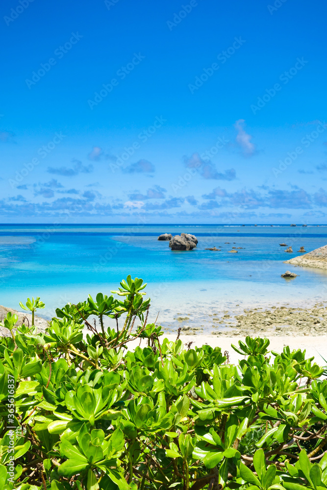 海と緑 海と緑