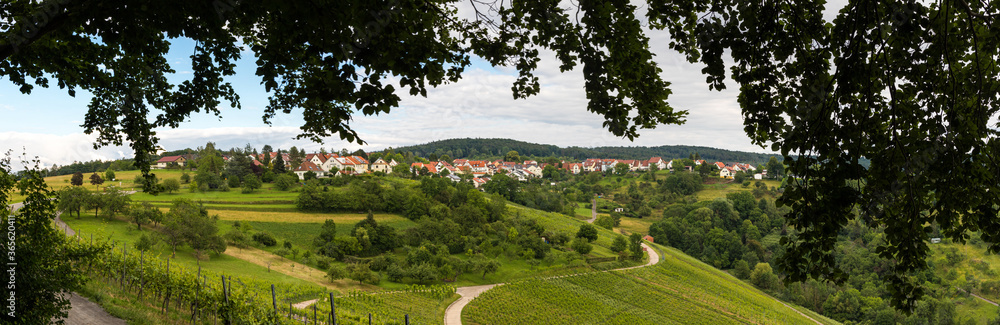 Panorama Winnenden-Breuningsweiler mit Baum