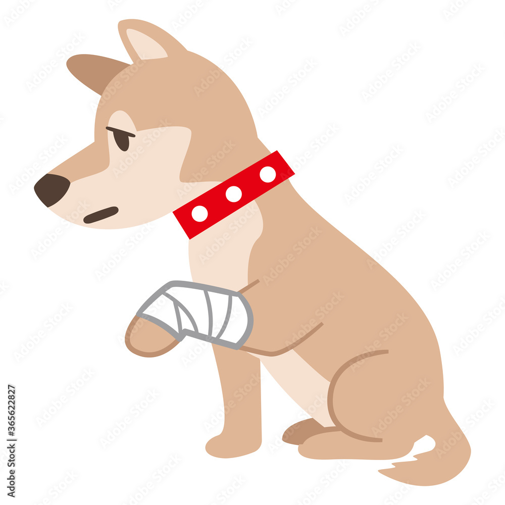 包帯を巻いた犬 Stock ベクター Adobe Stock 包帯を巻いた犬 Stock ベクター Adobe Stock