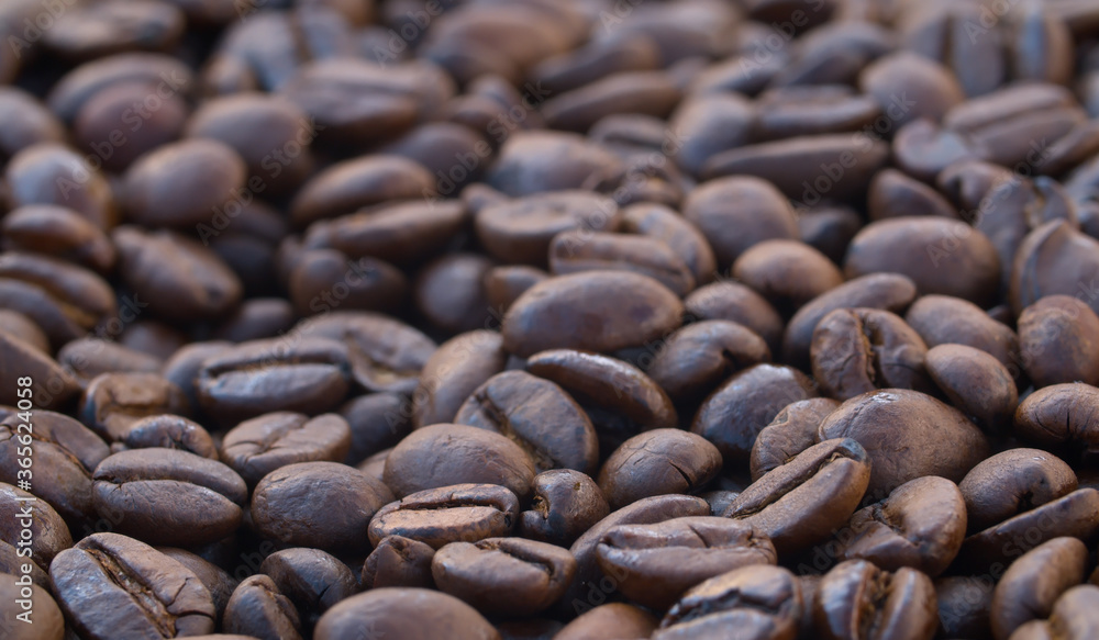 Macro shot of coffee beans Macro shot of coffee beans