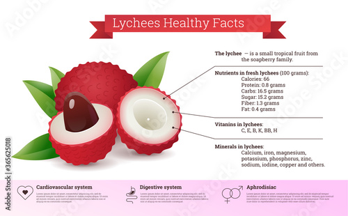 Lychees healthy facts nutritional information. Exotic tropical fruit benefits. Fresh ripe lychee vitamins, minerals and nutrients infographics. Healthy diet vector illustration